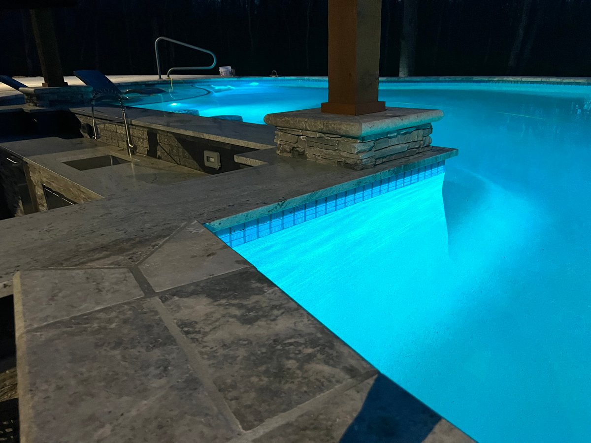 Boccardi freeform, gunite pool with swim up bar