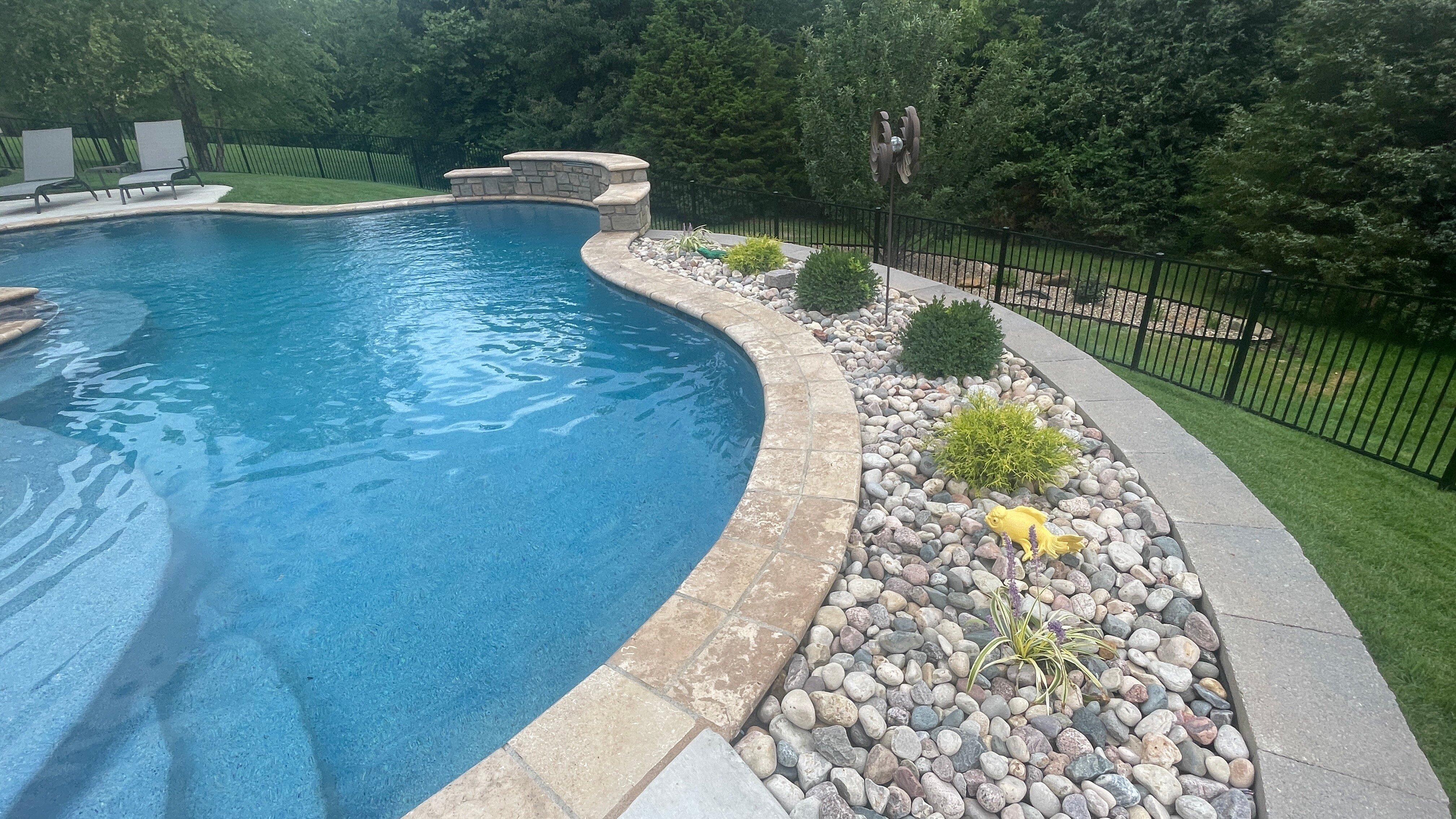 Cronin freeform, gunite pool with raised ledge2