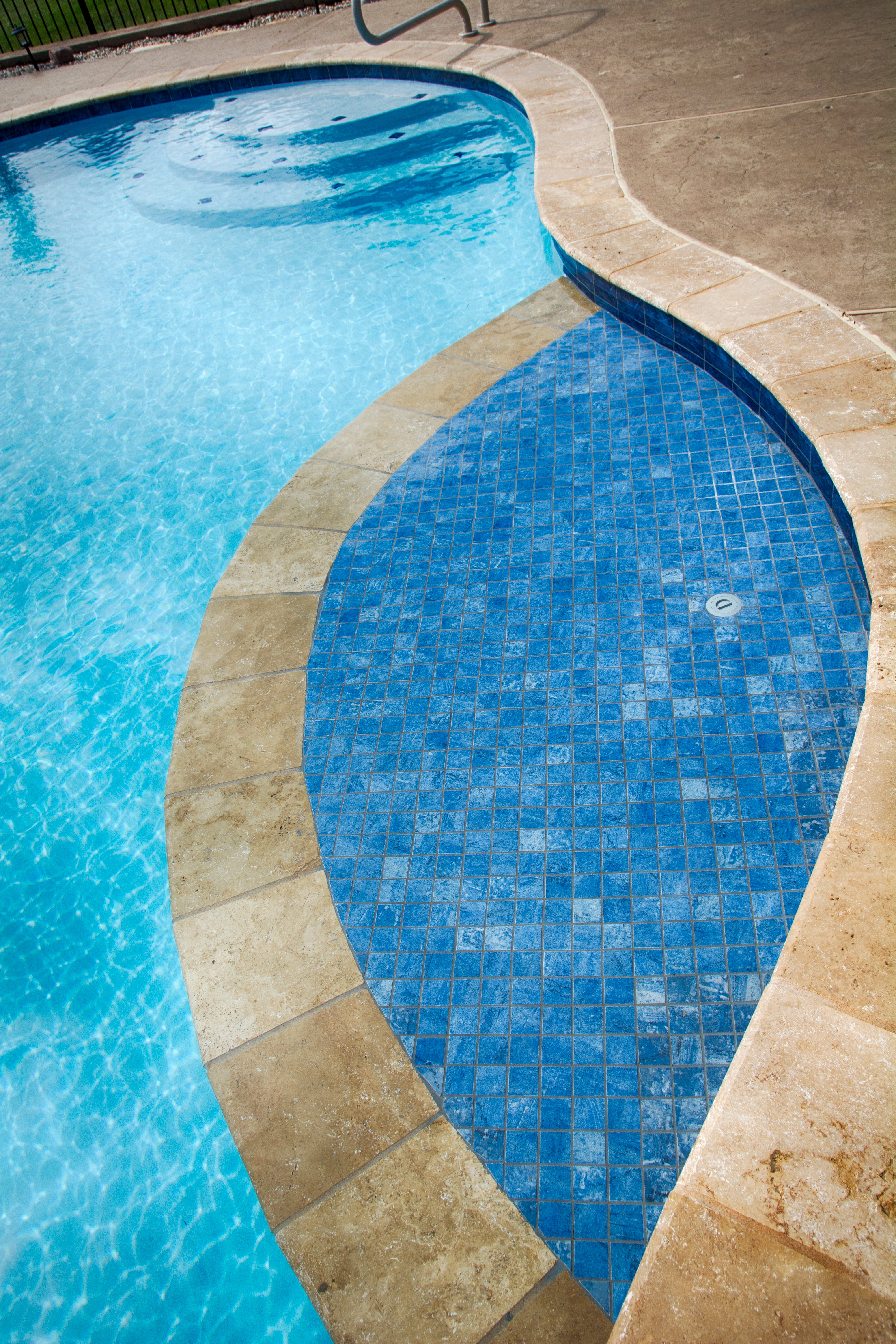 freeform, gunite pool with tanning ledge